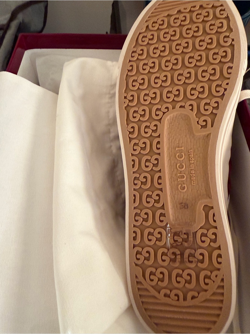 Burgundy Canvas Low-Top Sneakers with Cream Trim - Picture 5 of 12